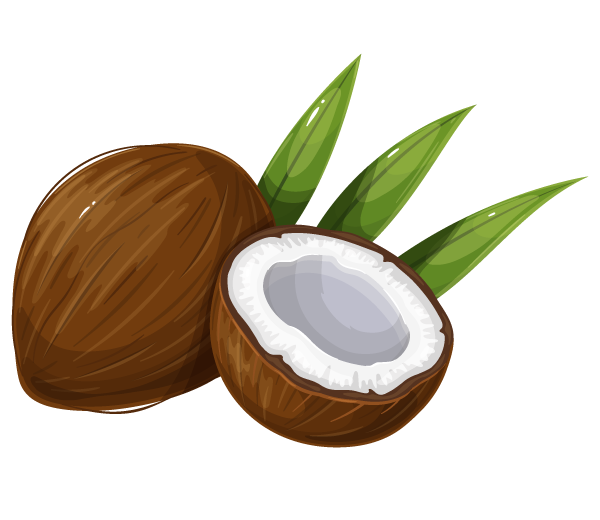 Coconutlar